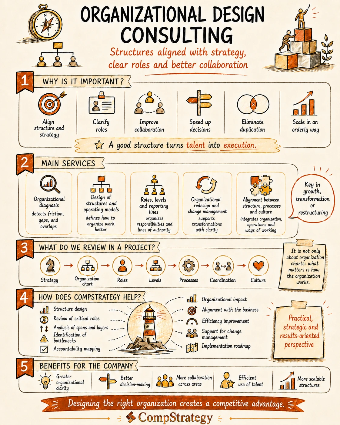 Organization Design Infograph
